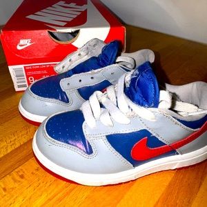 Toddler NIKE DUNK LOW SP Sparkly Blue 9c